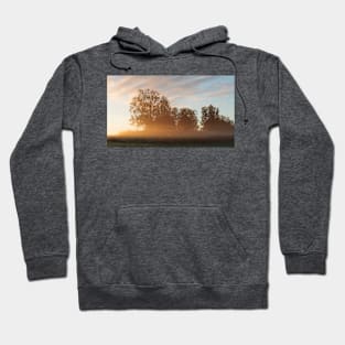 Misty meadow landscape sunrise Hoodie